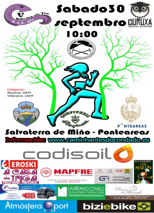 Cartel Ribeira do Tea